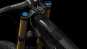 morepic-7